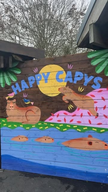 Happy Capys mural from Leon’s Instagram